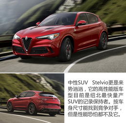  四叶草的美丽传说关于半岛铁鹰的两三事