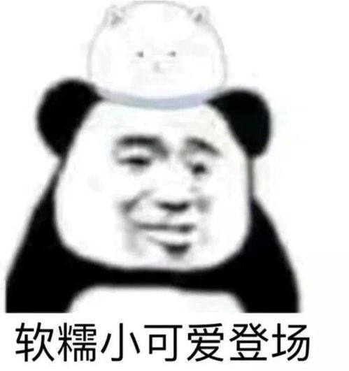  冬天的第一口西北风就要来了