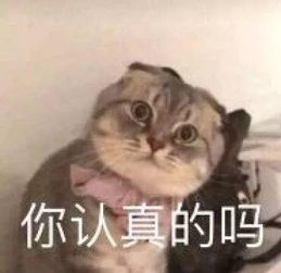  丈夫13楼扔酒瓶,被物业断电30天,老婆崩溃报警受不了