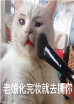  给自己画个男朋友表情包好玩吗给自己画个男朋友表情包怎么玩用户评论