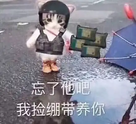  支付宝年度账单渣男的心都碎了