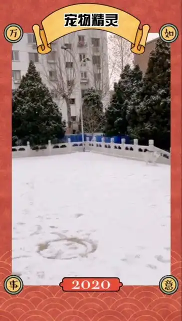  你真的是雪橇三傻之一吗