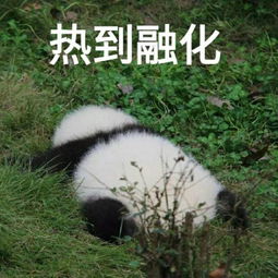  在最火的天气,有人想约你做一件最不怕上火的事儿