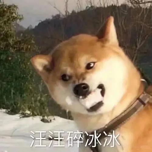  宋家玉话