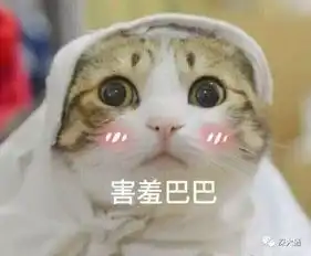  你尽管在后台问,我答不上算我输