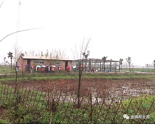  注意了南宁这些地方可以去摘果周末走起