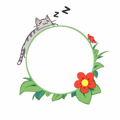  表情盘点那些红遍全网的网红猫上哔哩哔哩表情