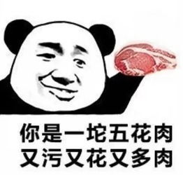 人生专用头像图片微信