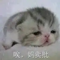 抱头 表情包表情包