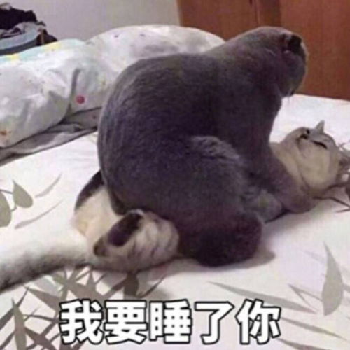  我的梦想