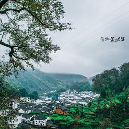  2018长溪村旅游攻略门票地址游记点评,婺源旅游景点酒店购物美食推荐去哪儿攻略社区