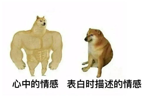  进来收图懂
