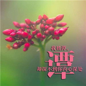  唯美姓氏头像继续发布共计12p,找找有没有的