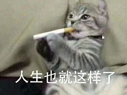  发现最新发布动漫作品其他动漫zcool