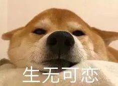  假期过半,我找到了最舒适的度假姿势