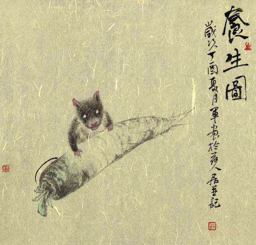  生肖猪,鼠,牛,2024年5月财运,事业运,感情运分析生肖鼠生肖牛感情方面运程网易订阅