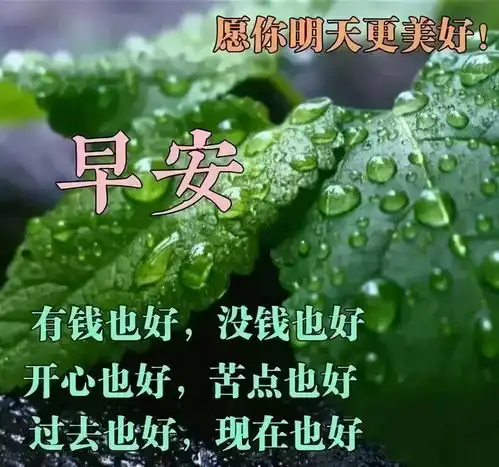 早早上好表情包国美
