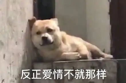  等了22年,小智终于夺冠了背后原因竟是宝可梦对玩家的妥协