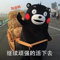  好玩表情图口袋空空