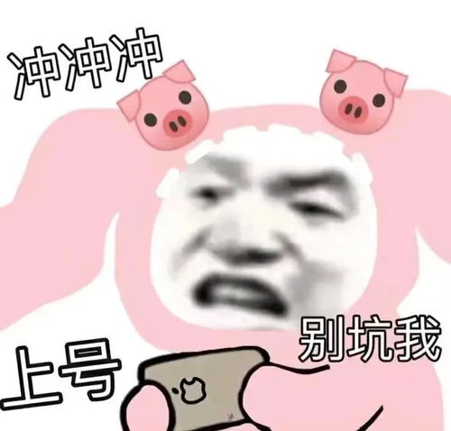  无标题
