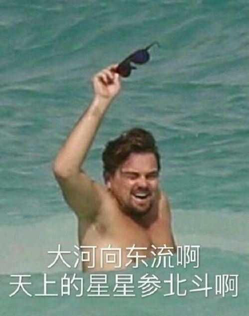  当胡歌鹿晗都秃了,你还爱他们吗