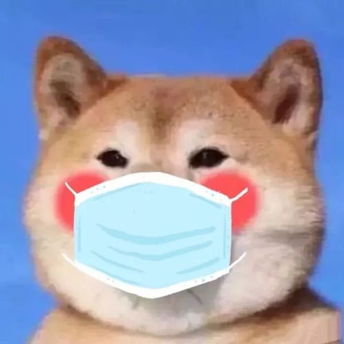  你的微信头像该换了100张口罩头像