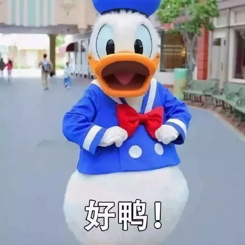  快乐英链新班即将开课,您还在犹豫什么