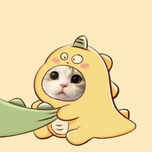  情侣头像丨超级可爱的猫咪情头