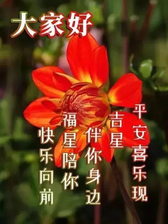  5张非常好看的文字早安问候表情包图片,简短问候语漂亮表情包带祝福语
