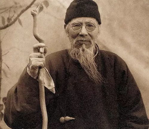  丹青意造本无法,画圣胸中常有诗