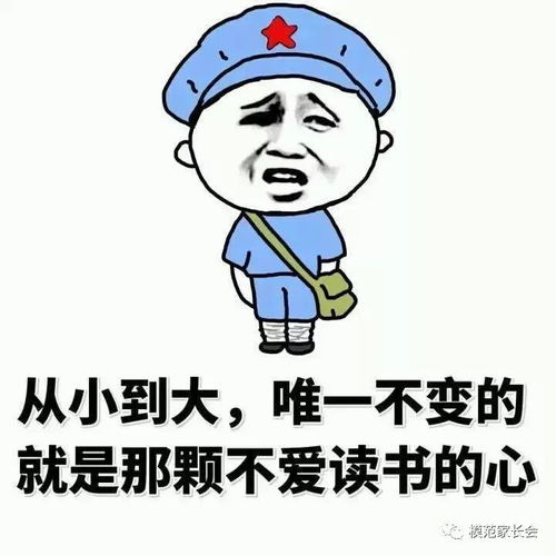  面对寒假作业,你是属于哪一类的学生