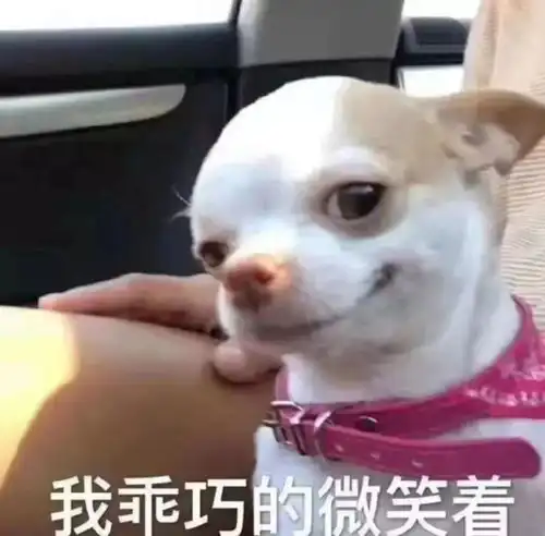 好尴尬520,我的避孕套掉进去了怎么办