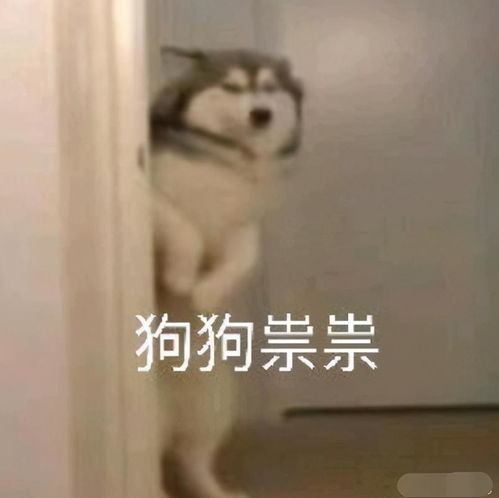  剑网三玩家打jjc被她爸误以为是指挥网友你这么有出息的吗