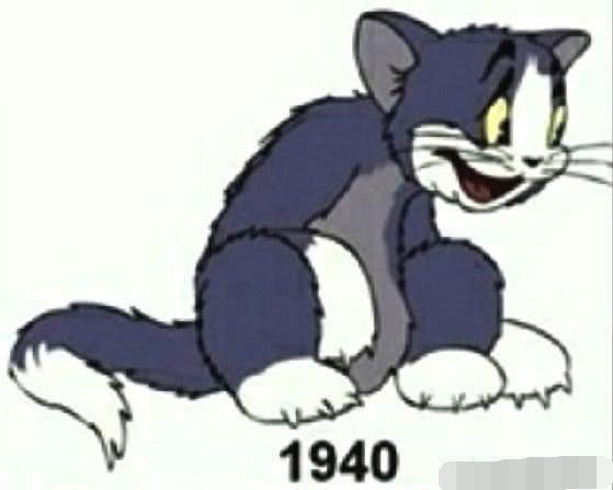 汤姆到底是什么品种的猫