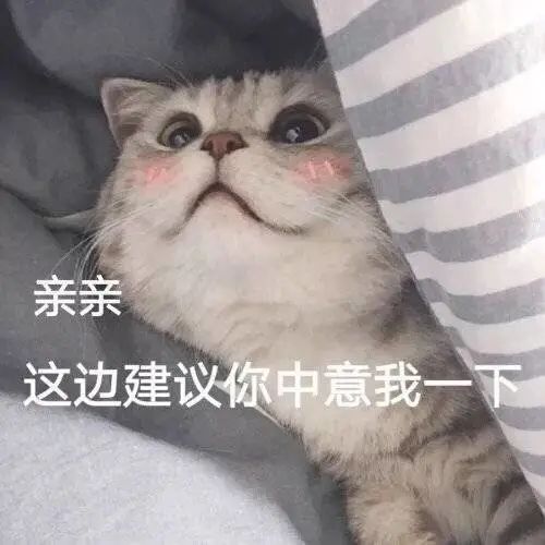  猫咪表情包我已经沉沦了