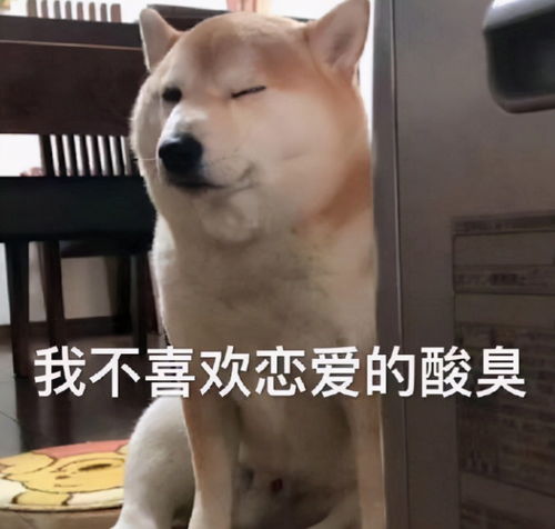  太真实高校女生知道室友们都已脱单后,下一句话惹得网友心疼