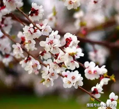  不动声色,学着做个能沉得住气的人