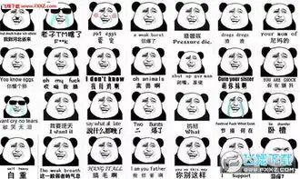  52麻将表情包下载微信52麻将表情包高清版下载飞翔下载