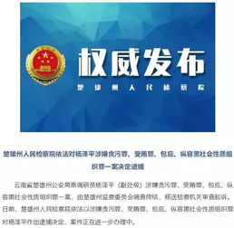  雷霆三连一天之内,云南3名官员被逮捕被调查
