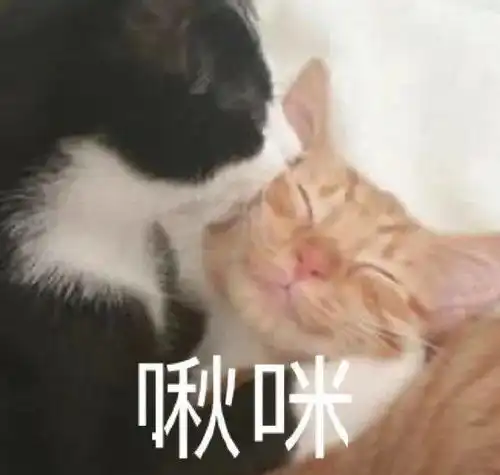  猫快给我学狗叫丨第95期喵表情