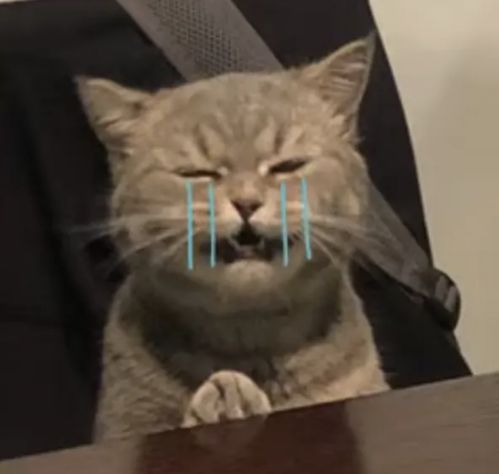  要脸,还是要钱这原本不应是个问题