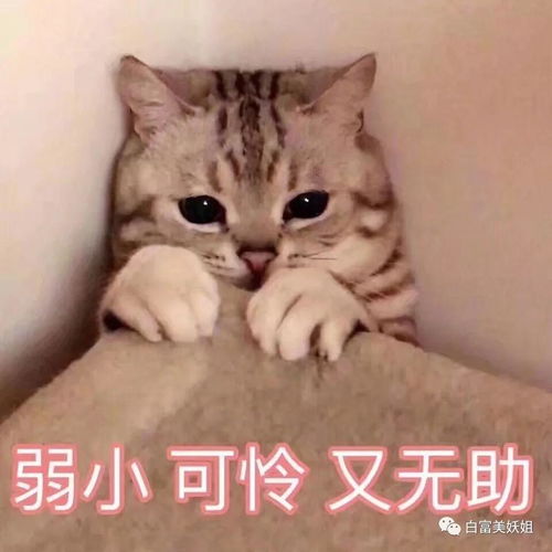  偷盗成瘾酷爱炫富,这位京城富二代真面目被揭穿