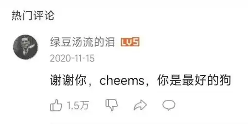  刷屏几亿人表情包的柴犬cheems,是如何火爆网络的