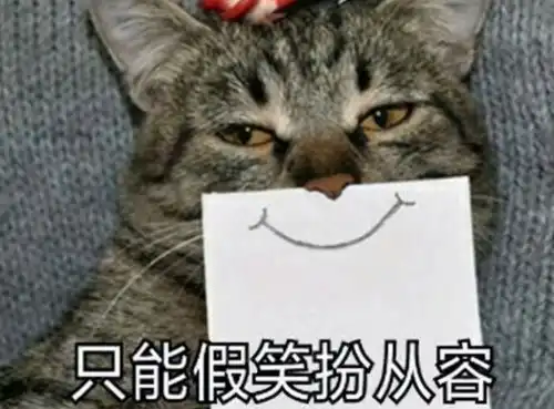 一只白猫旁边一个问号的