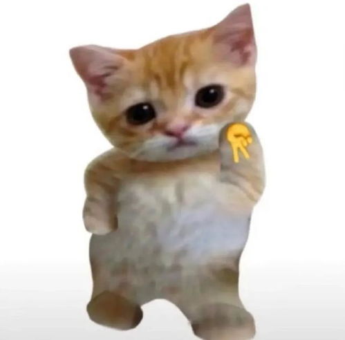  一些奇奇怪怪的猫猫表情包集合6