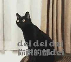 尖叫黑猫表情包gif
