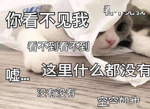  幽默爆笑故事,带个马蜂窝回家关房门放马蜂,多亏隔壁老王帮忙
