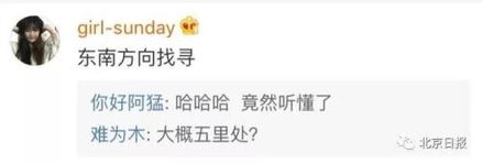  101中学孔雀出逃,这个表情包也火了网友急着上清华北大