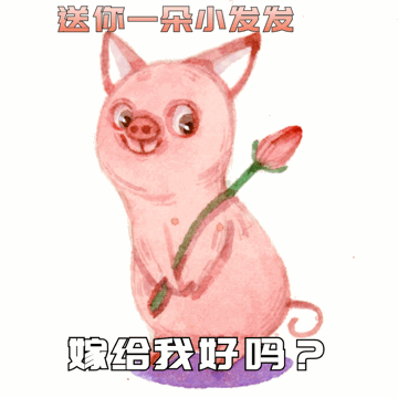  表情包设计明年滴猪年
