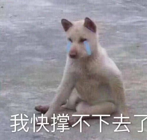 咸鱼躺表情包表情